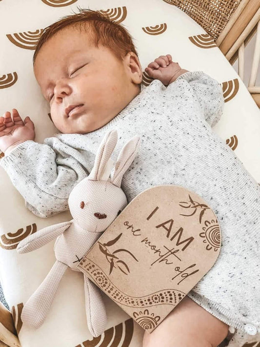 Milestone cards 1-12 months